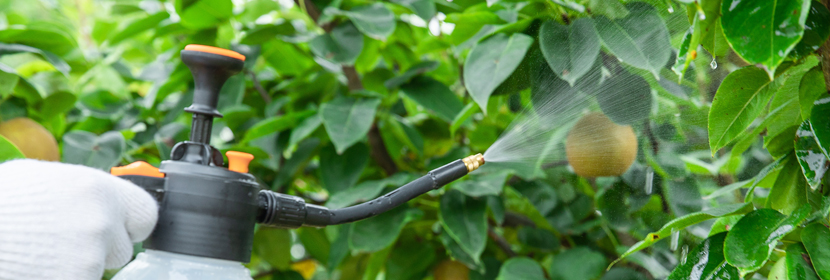 農(nóng)藥殘留檢測(cè)